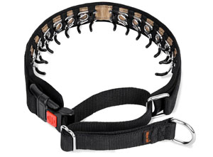 Best Collar for Aggressive Dog