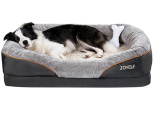 Best Dog Bed for German Shepherd